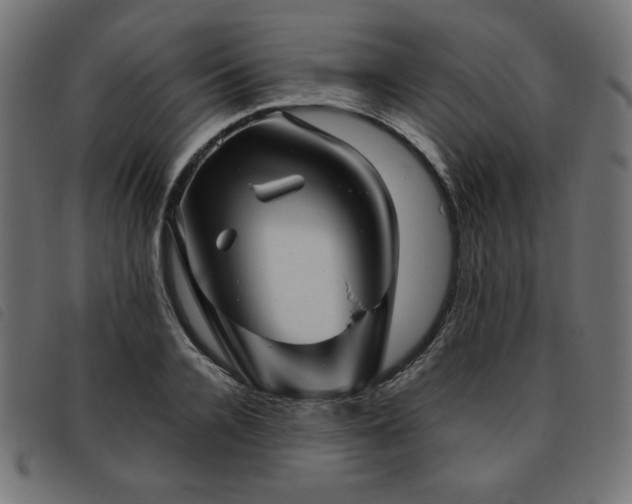 X0000093760936200710161220