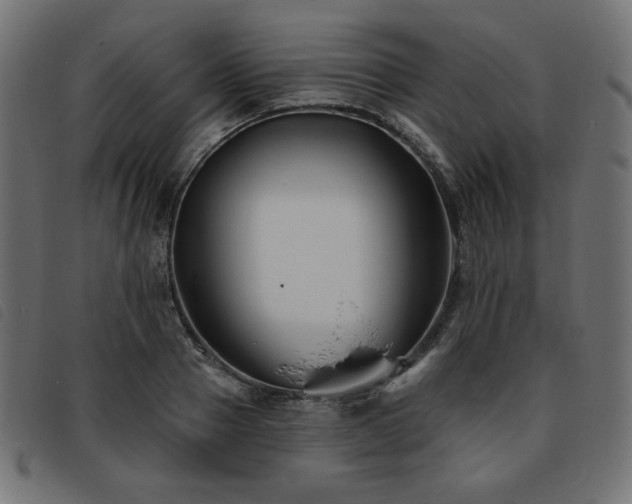X0000093760937200710161220