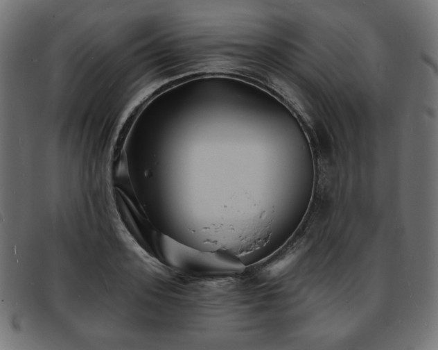 X0000093760939200710161220