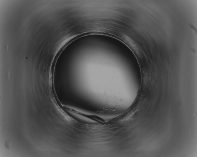 X0000093760940200710161220