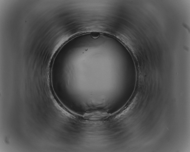X0000093760941200710161220