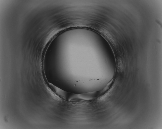 X0000093760942200710161220