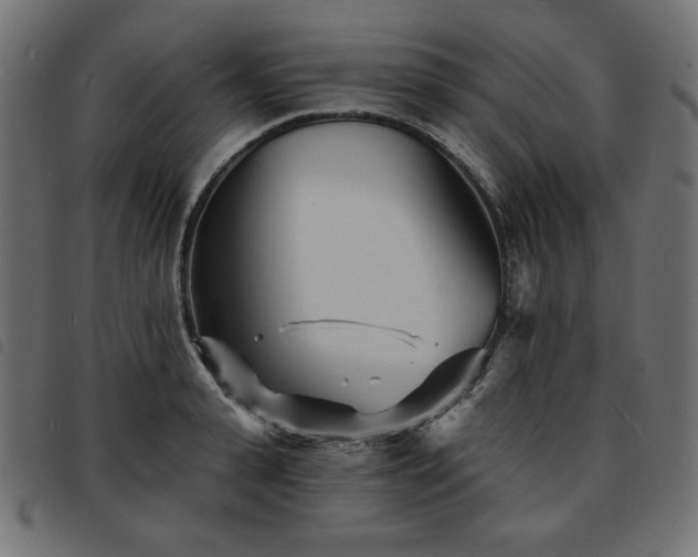 X0000093760943200710161220