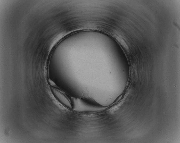 X0000093760944200710161220