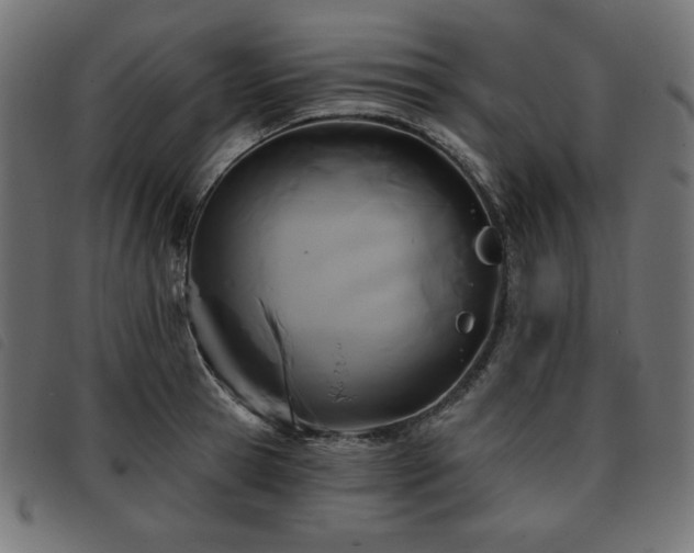 X0000093760945200710161220