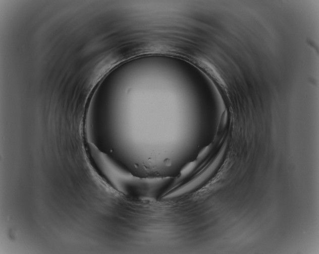 X0000093760946200710161220