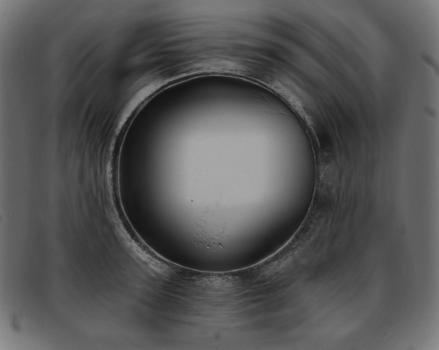 X0000093760947200710161220