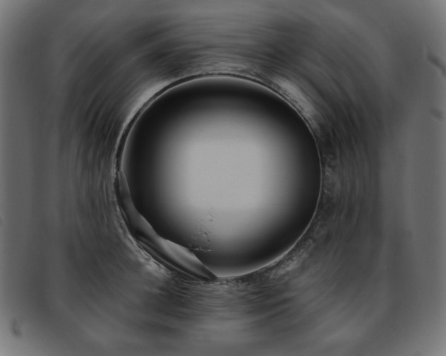 X0000093760948200710161220