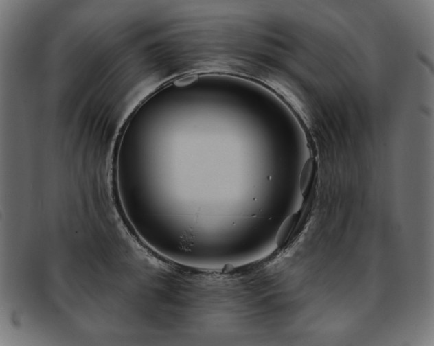 X0000093760949200710161220