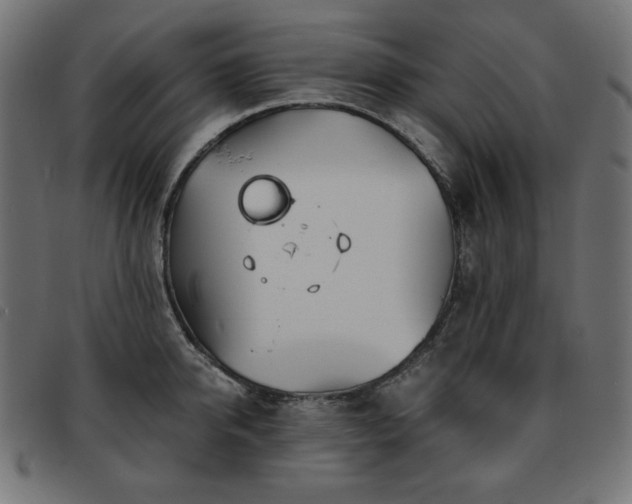 X0000093760950200710161220