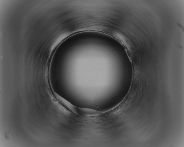 X0000093760952200710161220