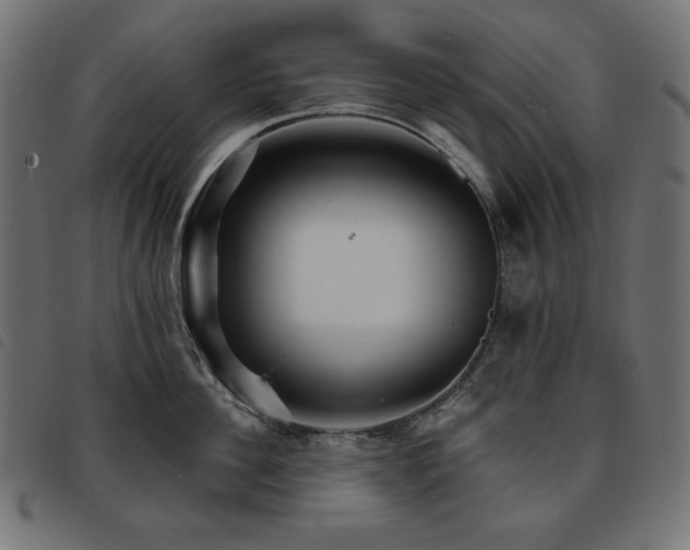 X0000093760956200710161220