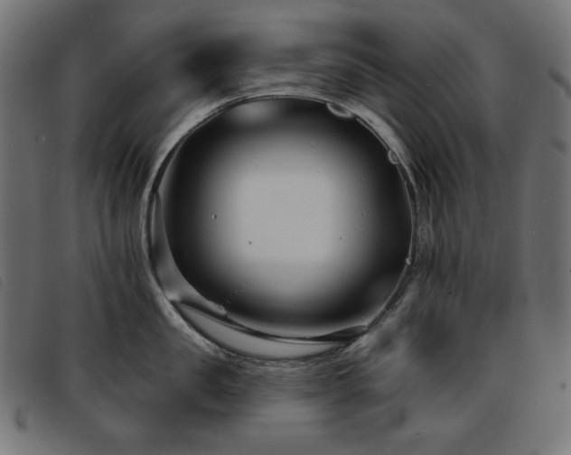 X0000093760957200710161220