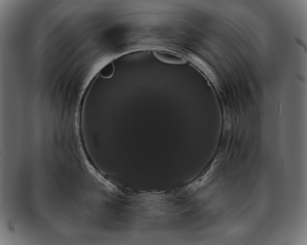X0000093760958200710161220