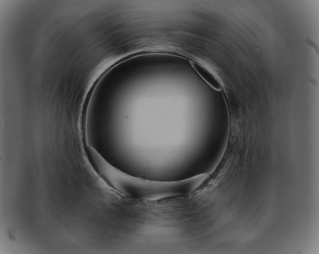 X0000093760959200710161220