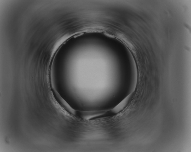 X0000093760960200710161220