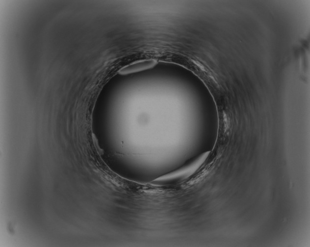 X0000093760961200710161220