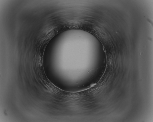 X0000093760964200710161220