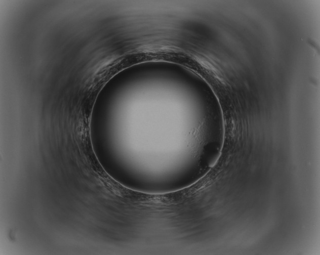 X0000093760966200710161220