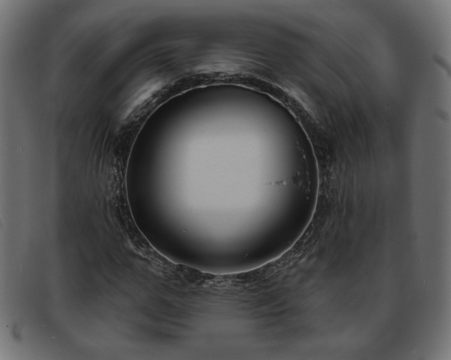 X0000093760967200710161220