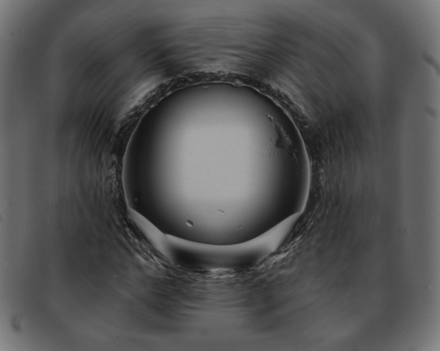 X0000093760968200710161220