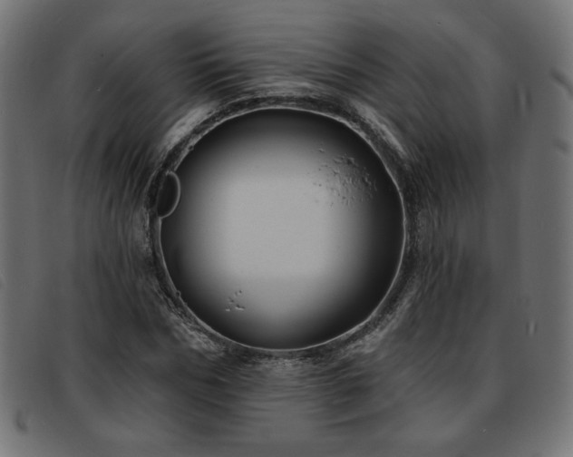 X0000093760970200710161220
