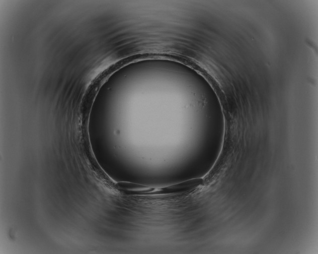 X0000093760971200710161220