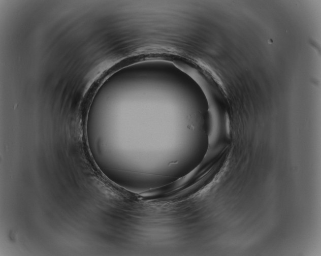 X0000093760973200710161220