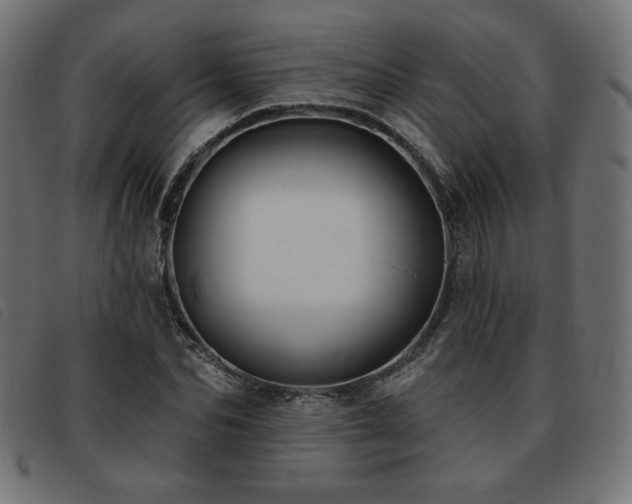 X0000093760974200710161220
