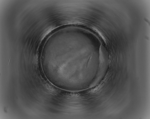 X0000093760975200710161220
