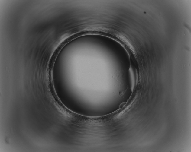 X0000093760976200710161220