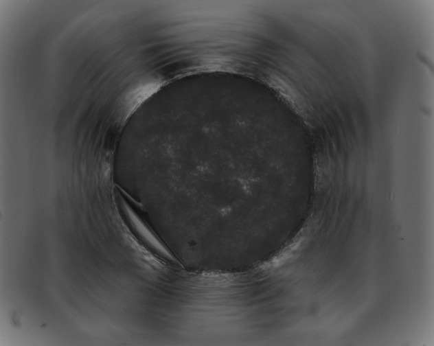 X0000093760977200710161220