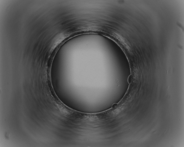 X0000093760978200710161220