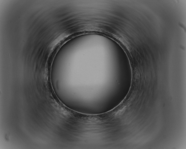 X0000093760979200710161220