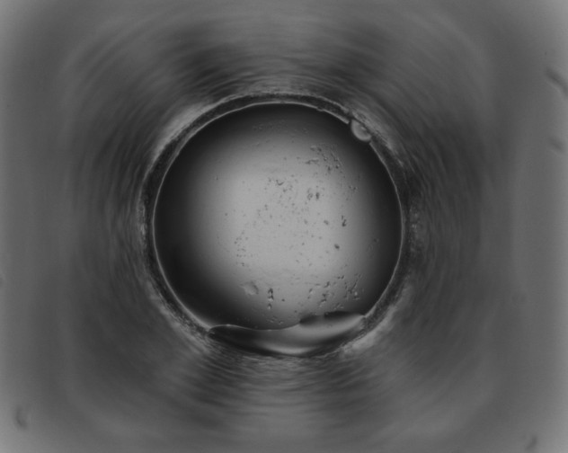 X0000093760981200710161220