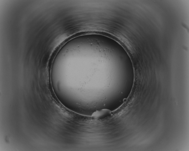 X0000093760982200710161220