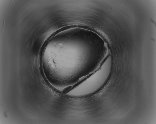 X0000093760983200710161220