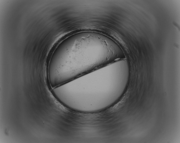 X0000093760984200710161220