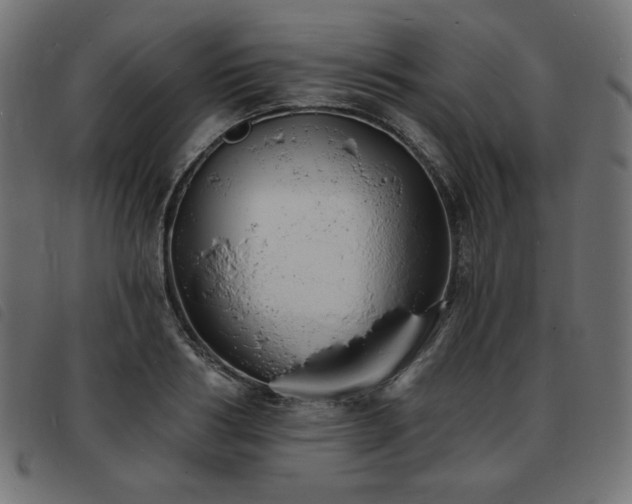 X0000093760986200710161220