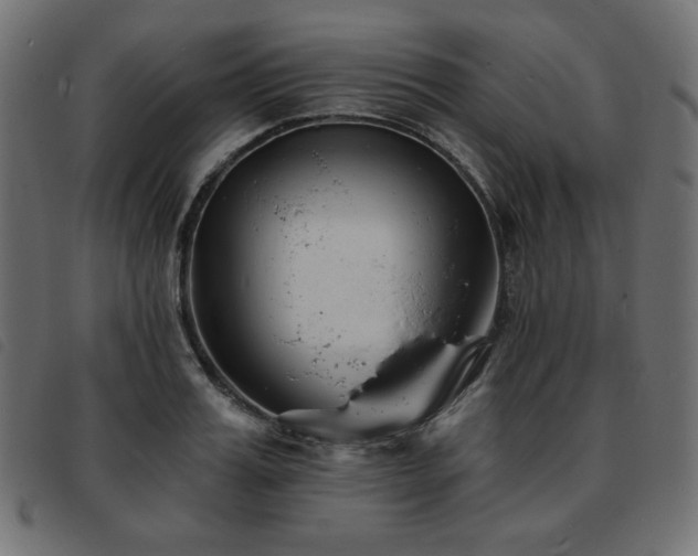 X0000093760987200710161220
