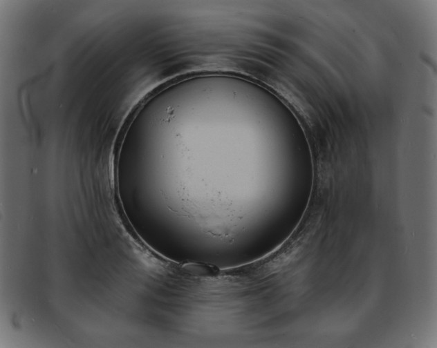 X0000093760988200710161220
