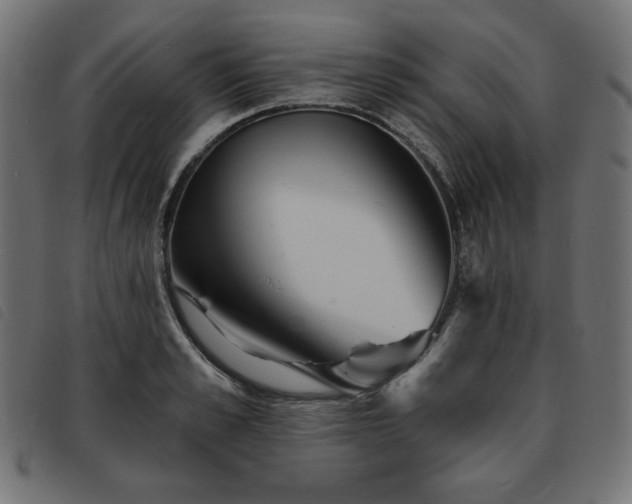 X0000093760989200710161220
