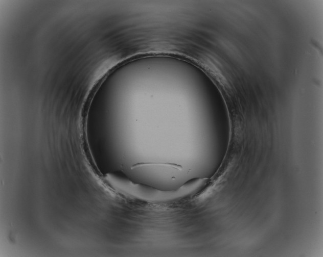 X0000093760990200710161220