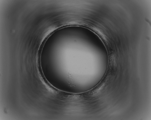 X0000093760991200710161220