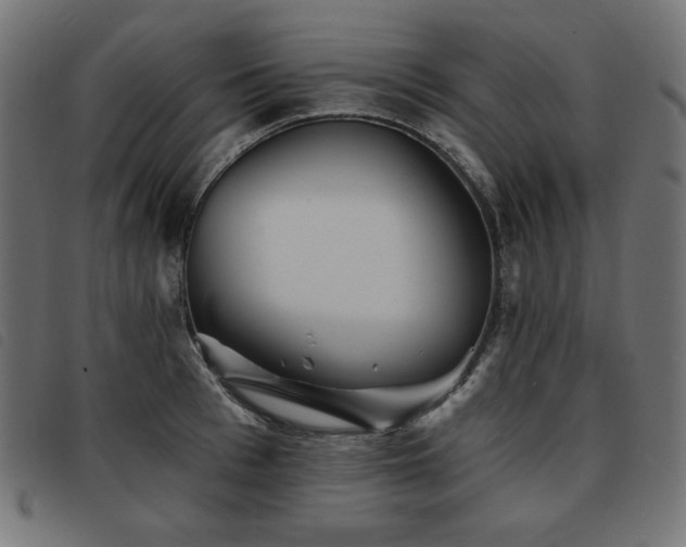 X0000093760993200710161220