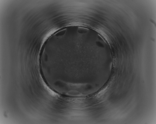 X0000093760995200710161220