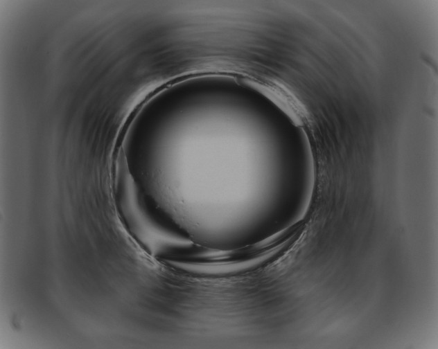 X0000093760996200710161219