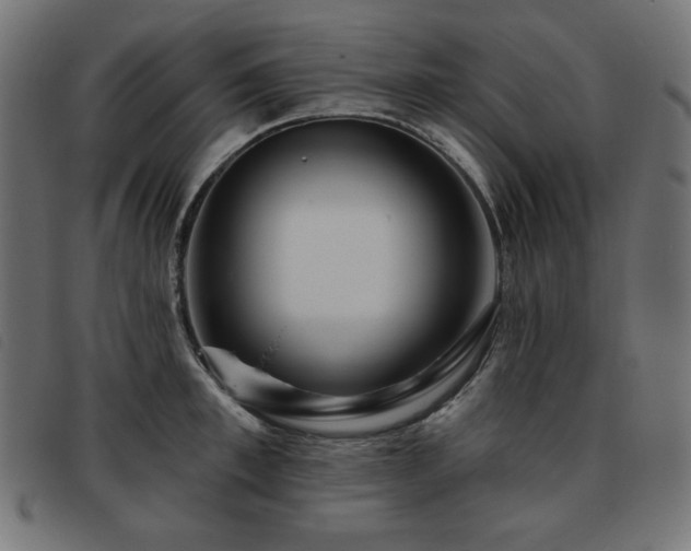 X0000093760997200710161219