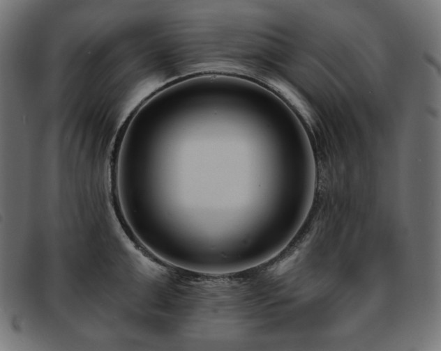 X0000093760999200710161219