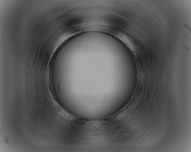 X0000093761000200710161219